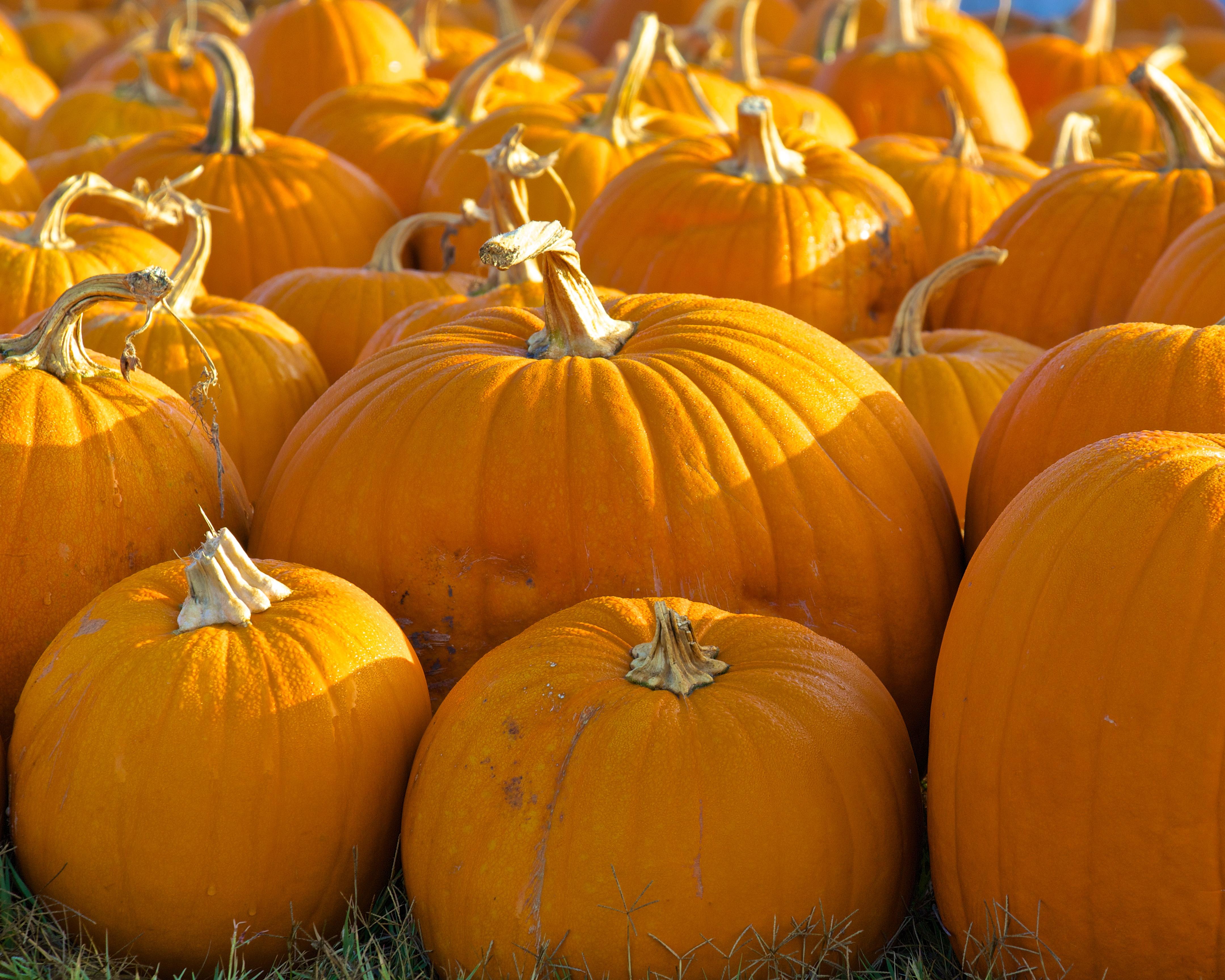 fall organizing