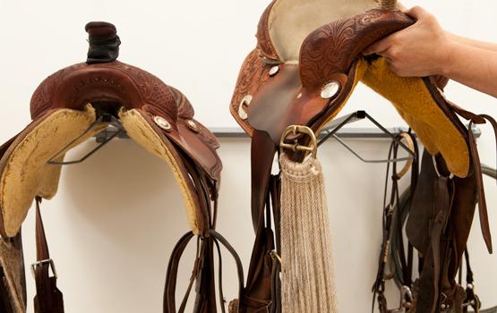 saddle racks